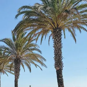 Studio Roses Plage Apartamento